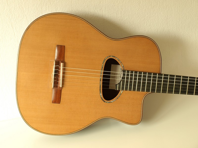 Van Bergejk Gipsy Guitar Nylon Gipsy 